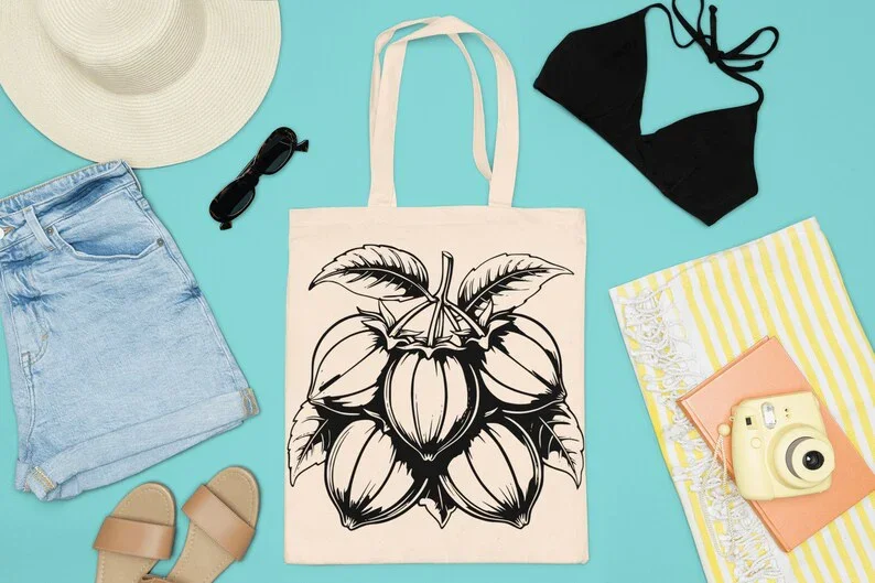 Asian Fruits SVG Bundle - Image 9