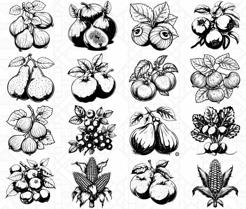 Autumn Fruits SVG Bundle - Image 5