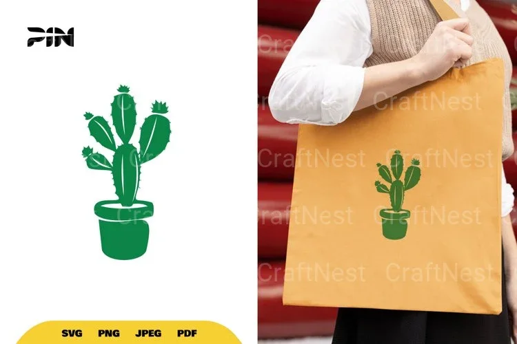 Cactus SVG Bundle