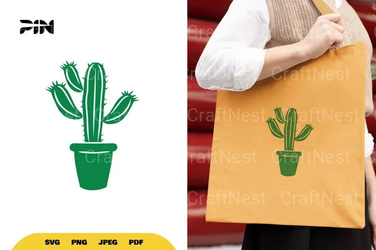 Cactus SVG Bundle