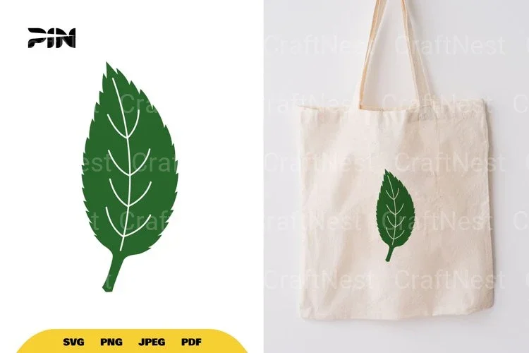Leaf SVG Bundle