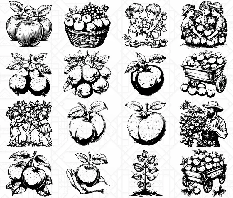 Orchard Fruits SVG Bundle - Image 2