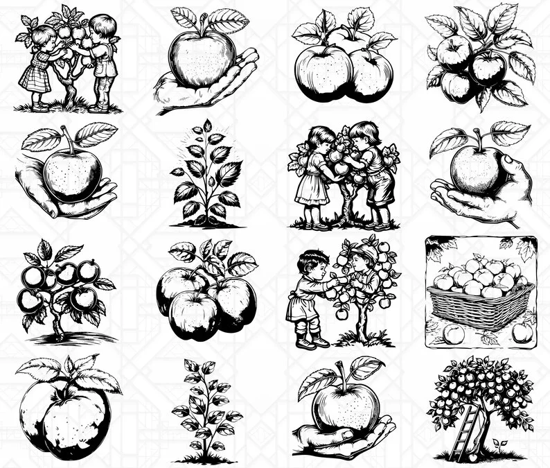 Orchard Fruits SVG Bundle - Image 4
