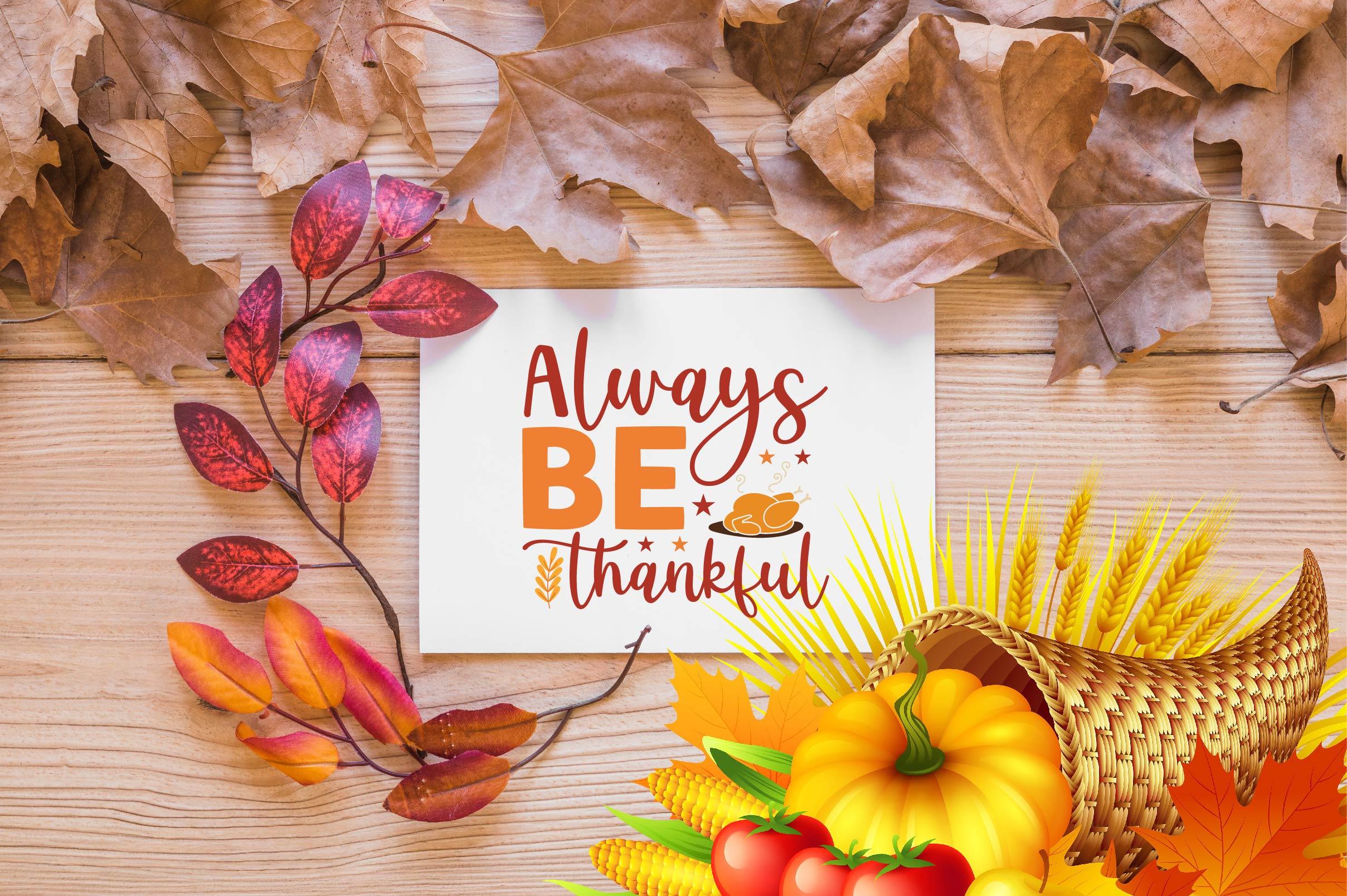 Thanksgiving SVG Bundle - Image 6